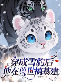 ����ѩ�����������������